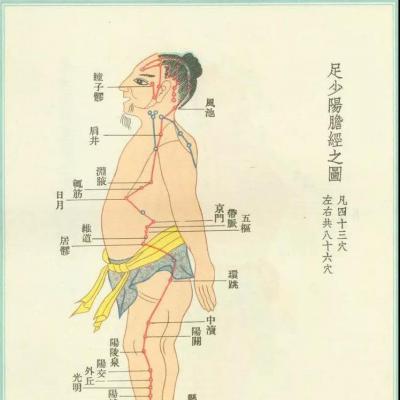 小动作有大作用!这么按一按镇静安神、缓解腰腿痛